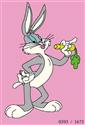 بانی خرگوشه-393